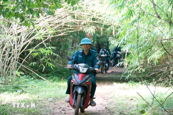 Lâm Đồng huy động lực lượng bảo vệ hơn 1,1 triệu ha rừng trước mùa khô