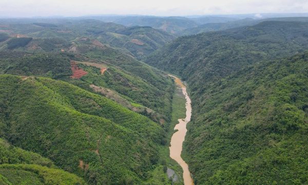 Lâm Đồng làm cầu dây văng 1,2 km vượt sông Đồng Nai