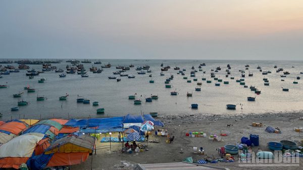 Lâm Đồng nghiên cứu thành lập “Bến cá Du lịch-Làng chài Mũi Né”