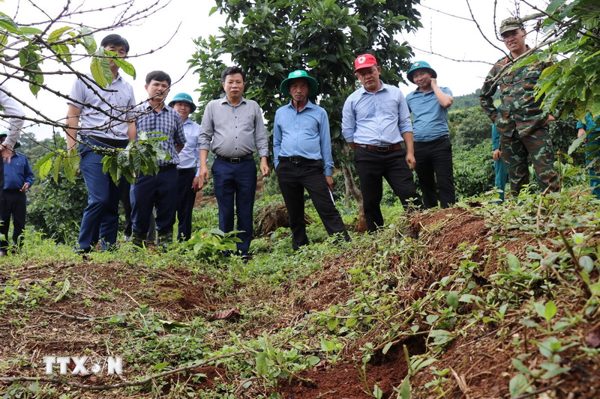 Lâm Đồng tập trung bảo đảm an toàn cho người dân vùng sụt lún Đắk Snao