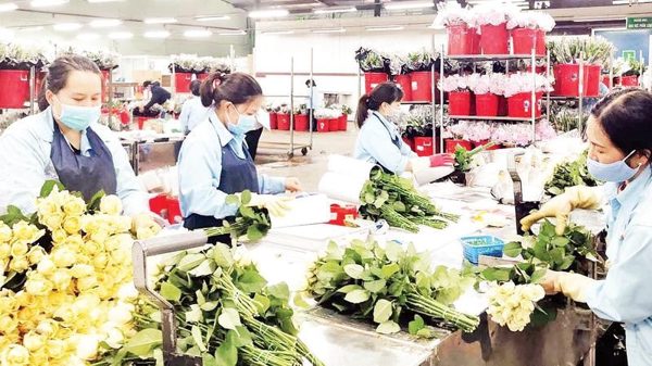 Lâm Đồng thúc đẩy triển khai các tiểu dự án oda