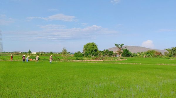 Lâm Đồng: Xã Hàm Thuận Bắc phấn đấu giảm nghèo đa chiều còn 3,26%