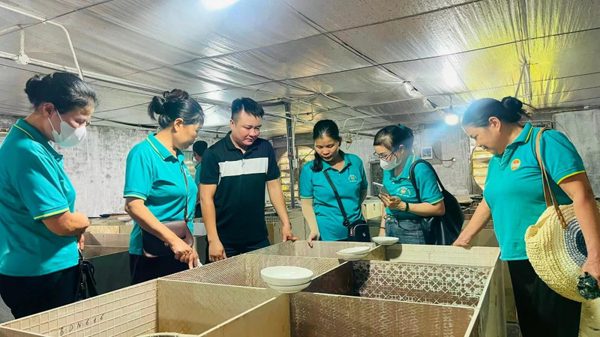 Làm giàu từ mô hình nuôi dúi má đào ở Phú Xuyên