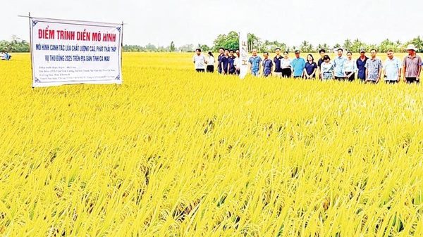 Làm giàu từ vùng đất thuần nông