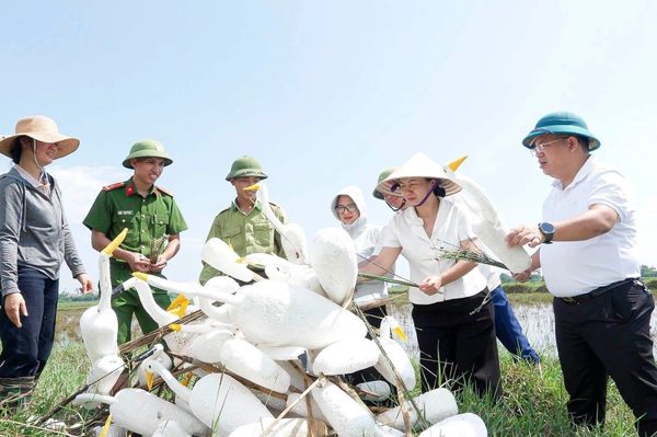 Làm nhà cho chim trời
