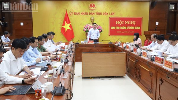 Làm rõ những sai sót trong thực hiện Nghị định 178 và 67 tại Đắk Lắk