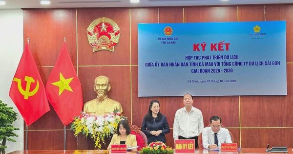 Làm sao đưa du khách từ Quảng Ninh vào Đất Mũi bằng đường biển?