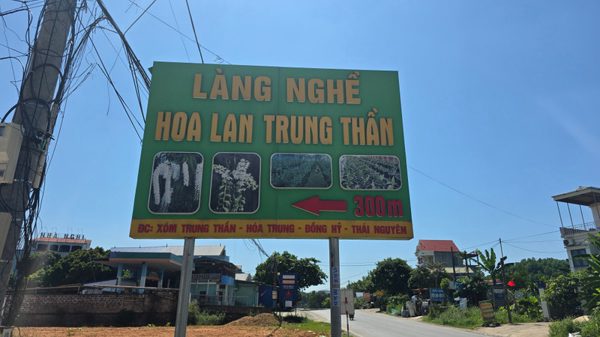 Lan đột biến từng giao dịch 1 tỷ đồng/cm nay chỉ mang treo bờ rào