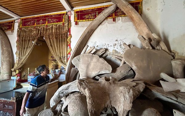 Làng chài cổ thờ 2 bộ xương cá voi khổng lồ