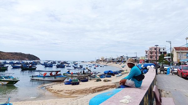Làng chài trong khúc quanh sinh kế (kỳ 2)