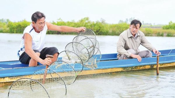 Lắng nghe tiếng nói nông dân