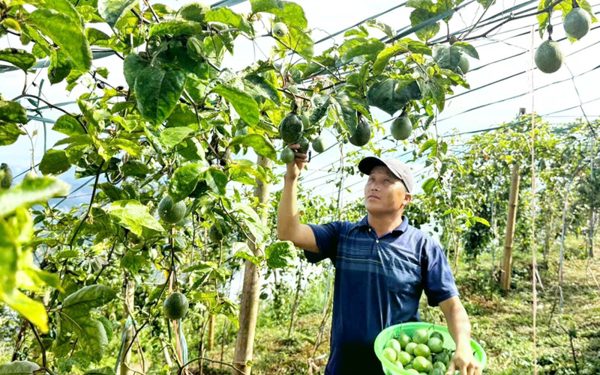 Lào Cai đặt mục tiêu giải ngân ít nhất 75% vốn chương trình mục tiêu quốc gia trong tháng 10