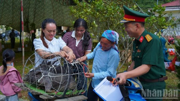Lào Cai hỗ trợ trao tặng cây giống, con giống cho người nghèo