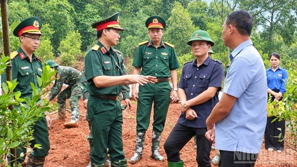 Lào Cai phát hiện 19 mộ có hài cốt liệt sĩ