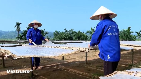 Lào Cai thành lập Quỹ Đầu tư mạo hiểm thúc đẩy khởi nghiệp sáng tạo