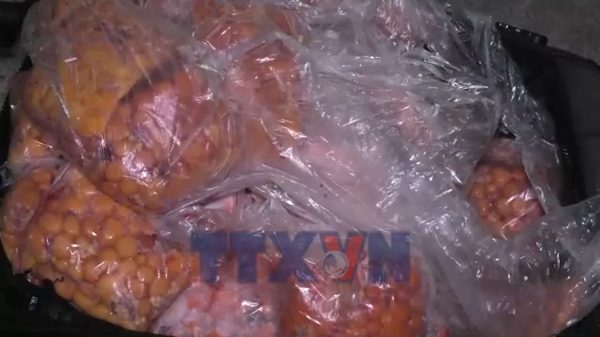 Lào Cai: Thu giữ hơn 700kg trứng gà non có dấu hiệu hư hỏng