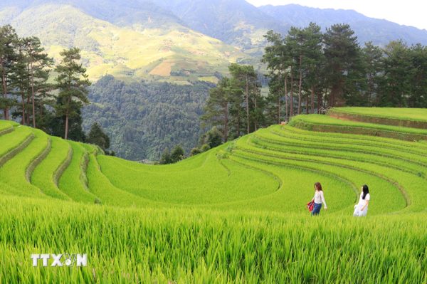 Lào Cai-Tuyên Quang: Nối những miền di sản thành một hành trình