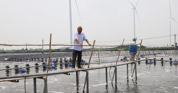 Lão nông trở thành tỷ phú sau quyết định bỏ lúa, nuôi tôm