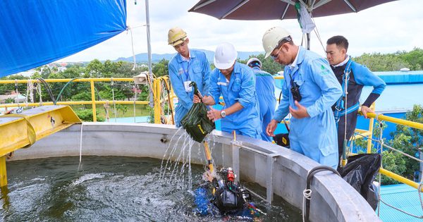Lấy kết quả Hội thi tay nghề dầu khí vào công tác đào tạo lao động