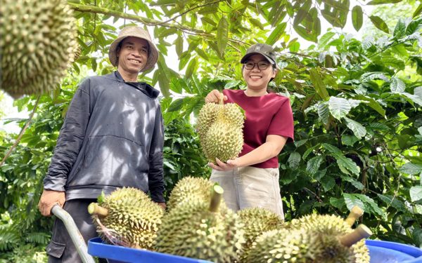 Lễ hội sầu riêng Đắk Lắk thu gần 1.300 tỉ đồng