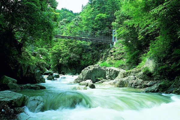 Lịch trình hai ngày theo những nhịp cầu từ Hiroshima đến Ehime