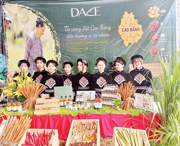 Liên kết “ba nhà” nâng giá trị cây gia vị