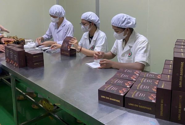 Linh Chi Bamiphar - Khi tinh hoa nấm dược liệu được ứng dụng trong chăm sóc sức khỏe chủ động