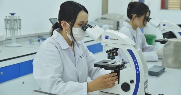 Lĩnh vực dẫn đầu xu hướng tuyển dụng nhân sự mới vào nghề tại Việt Nam