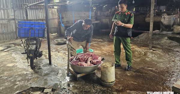 Lò mổ heo lậu bị công an bắt nhiều lần vẫn 'tung hoành' ở phường Phú Mỹ