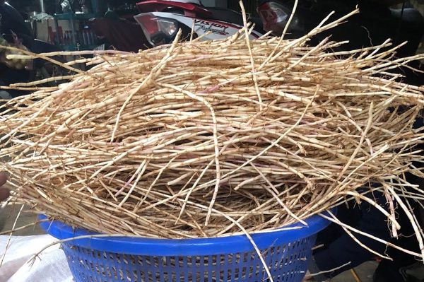Loài cỏ dại bị ghét lại được Đông y coi như 'báu vật'