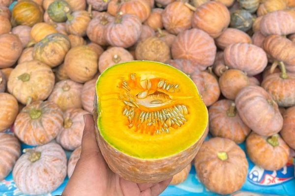 Loại quả bình dân, giá rẻ rất tốt cho não bộ