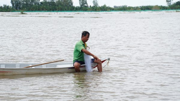 Lời giải sinh kế cho người dân vùng đất ngập nước ĐBSCL
