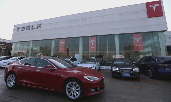 Lợi nhuận Tesla giảm gần một nửa