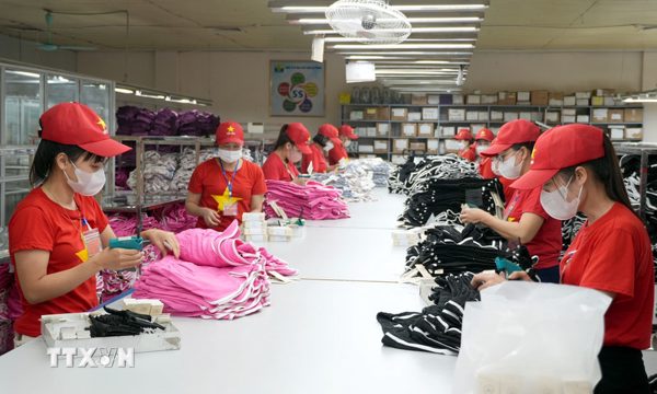 Luật Bảo hiểm xã hội: Đánh giá đầy đủ tác động và bảo đảm công bằng
