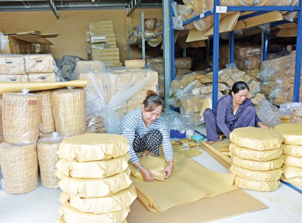 Lục bình miền Tây vươn ra thế giới