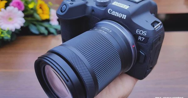 Lý do Canon vẫn được nhắc đến đầu tiên khi mua máy ảnh