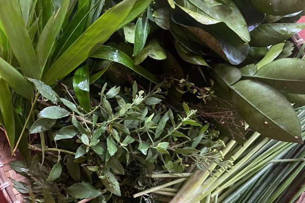 Mắc cúm A có nên xông lá, cố đổ mồ hôi để nhanh khỏi bệnh?