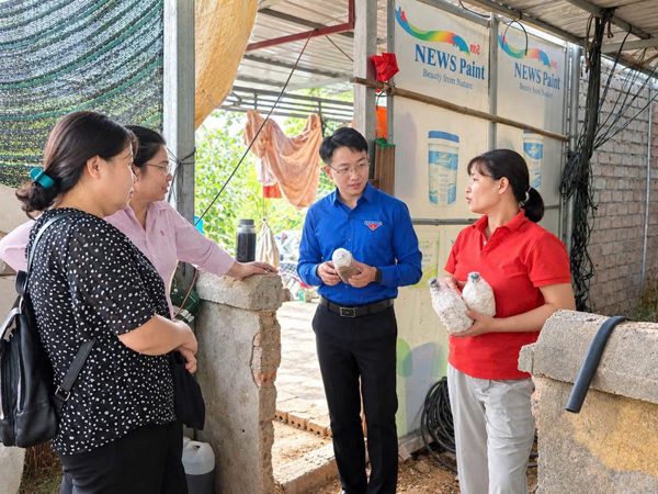 Mạch chảy tín dụng chính sách tại Phú Thọ: Từ nguồn vốn đến những sinh kế bền vững