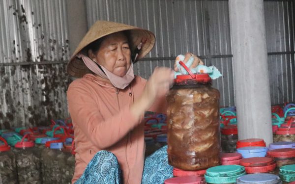 Mắm cá lóc đồng miền Tây có gì đặc biệt mà khách hàng tìm mua?