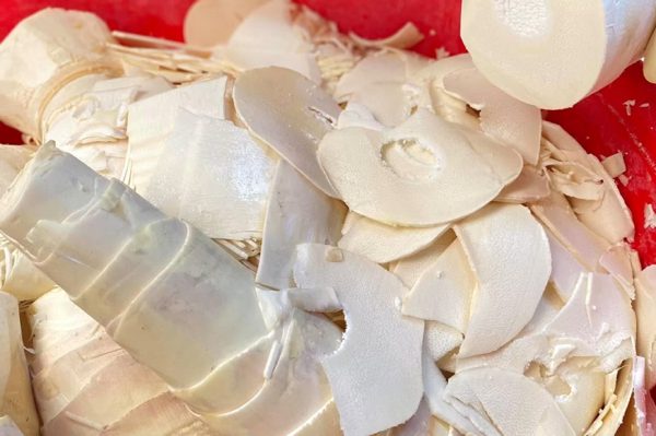 Măng tre chứa độc tố mạnh hơn nhiều người nghĩ, ăn thế nào để không hại?