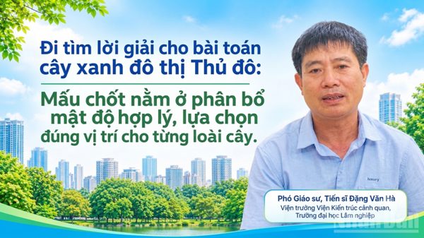Mấu chốt nằm ở phân bổ mật độ hợp lý, lựa chọn đúng vị trí cho từng loài cây