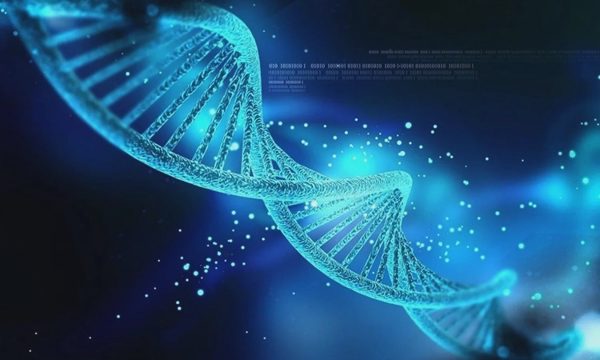 Máy tính ADN xử lý phép tính phức tạp không cần điện