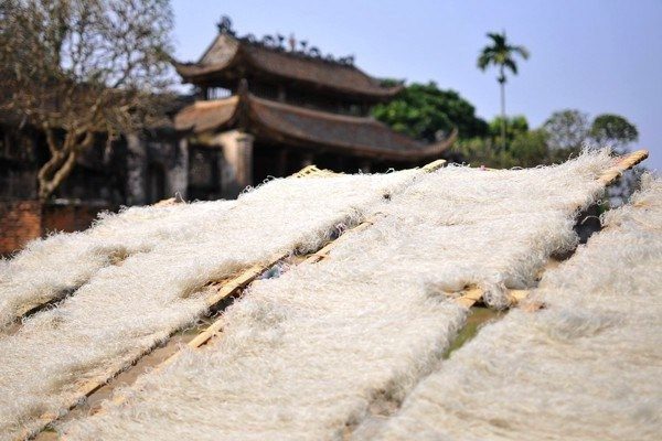 Miến dong làng So đạt chuẩn OCOP 5 sao, mở đường xuất ngoại