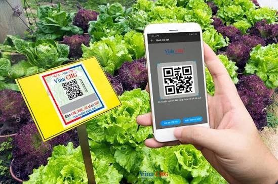 Minh bạch dữ liệu sau mã QR: Chìa khóa nâng tầm nông sản Thủ đô