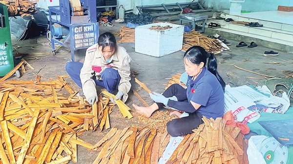 Mở lối sinh kế cho người sau cai nghiện