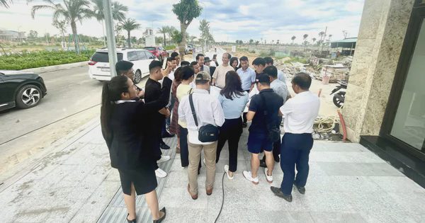 Môi giới bất động sản thích nghi như thế nào trước yêu cầu chuyên nghiệp hóa?
