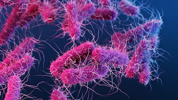 Mỗi năm Mỹ có 50.800 ca tử vong do 19 loại vi khuẩn gây ra