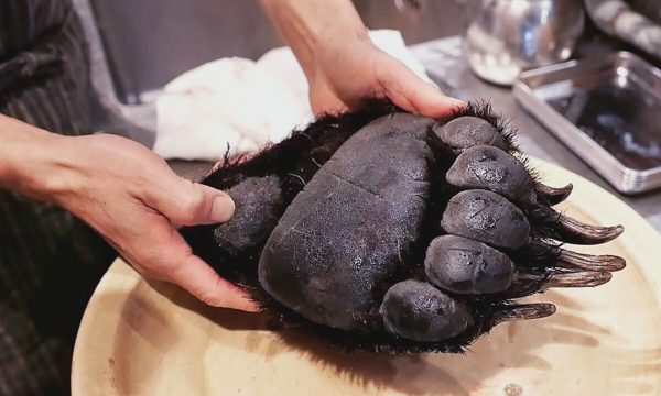 Món thịt gấu đặc sản Nhật Bản