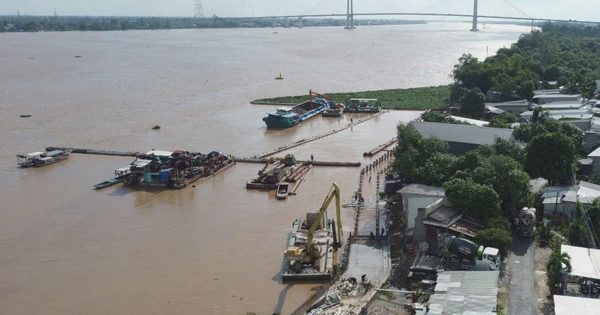 Mong lắm kè sông Tiền sớm về đích