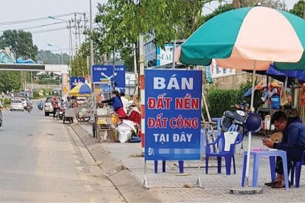 Một anh cò nghiệp dư